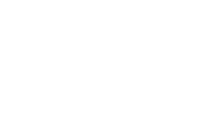 九頭龍商会